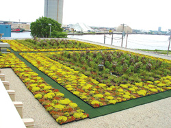 Blindside Waterproofing